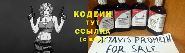 хмурый Армянск