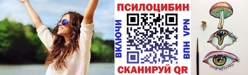 Галлюциногенные грибы MAGIC MUSHROOMS  как найти   Сенгилей 